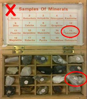 This image shows an open box divided into multiple compartments, each with a lump of mineral. There is a label naming each mineral on the box’s open lid. 