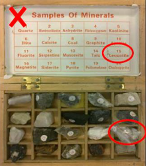 This image shows an open box divided into multiple compartments, each with a lump of mineral. There is a label naming each mineral on the box’s open lid.