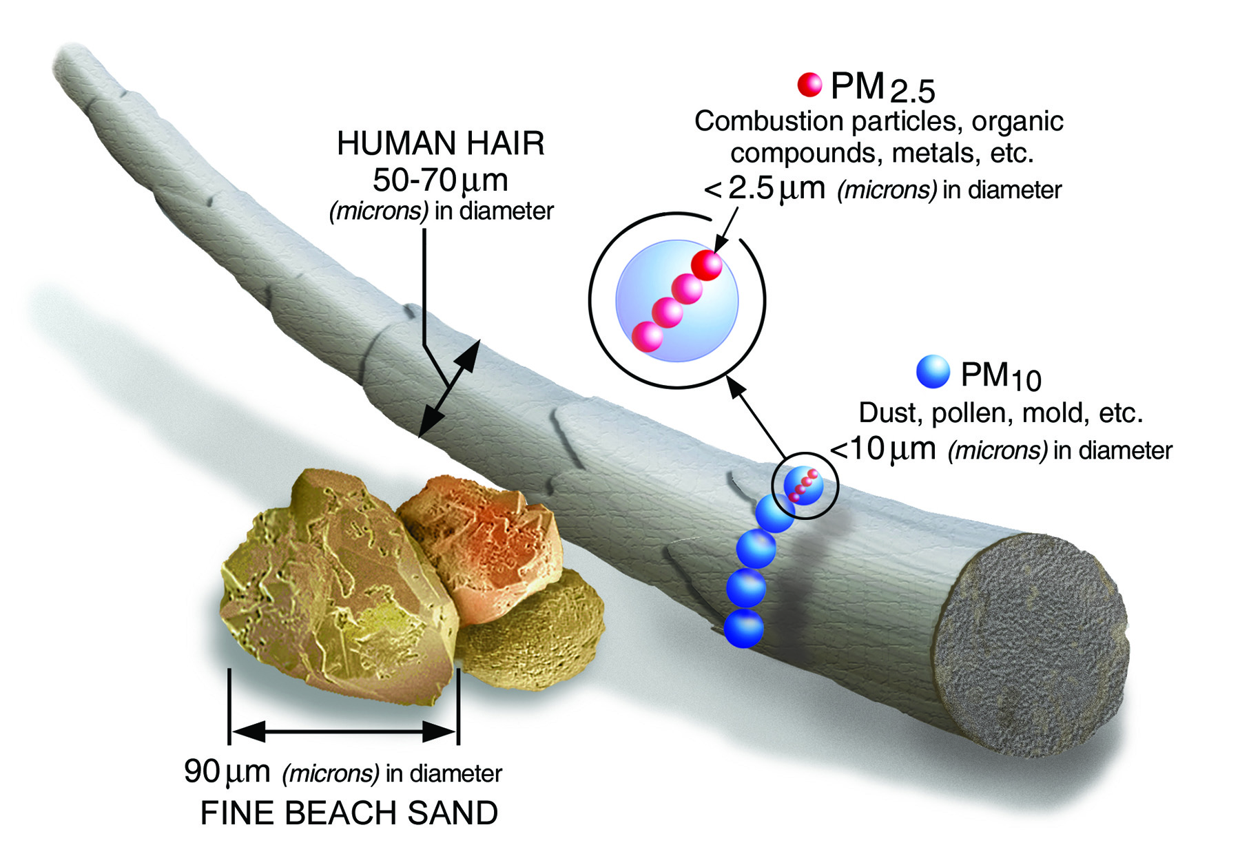 Dust particle sizes (original image from Mining and Quarrying Occupational Health and Safety Committee). Dust particle sizes (original image from Mining and Quarrying Occupational Health and Safety Committee).