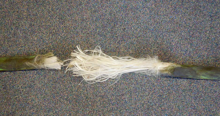 This image shows a woven length of rope, cut in half, with frayed and damaged ends.